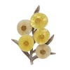 Erstwilder A Walk In The Wattle Brooch^ Brooches