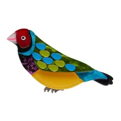 Erstwilder As Good As Gould Brooch^ Brooches