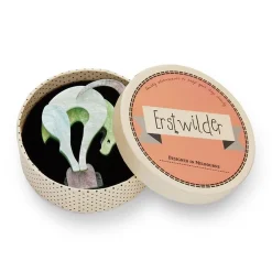Erstwilder Balancing Act Ibex Brooch^ Brooches