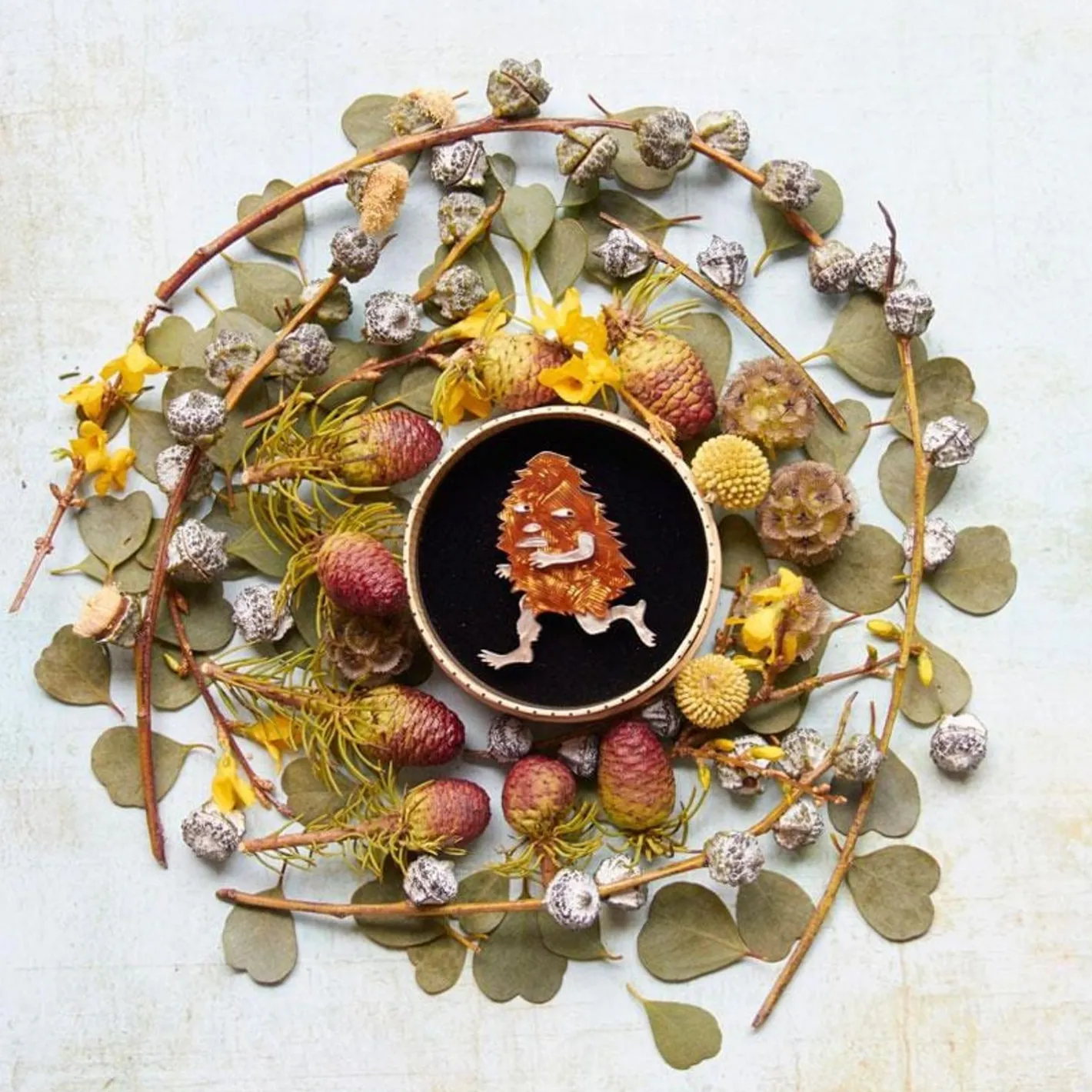 Erstwilder Banksia Man Brooch^ Brooches