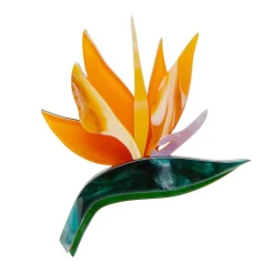 Erstwilder Birds Of A Feather Brooch^ Brooches