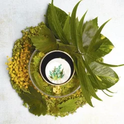 Erstwilder Botanical Abode Brooch^ Brooches