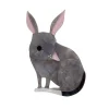 Erstwilder Bouncy Burrow Dweller Bilby Brooch^ Brooches