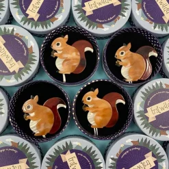 Erstwilder Bright-Eyed And Bushy Tailed Brooch^ Brooches