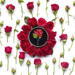Erstwilder Budding Romance Rose Brooch^ Brooches