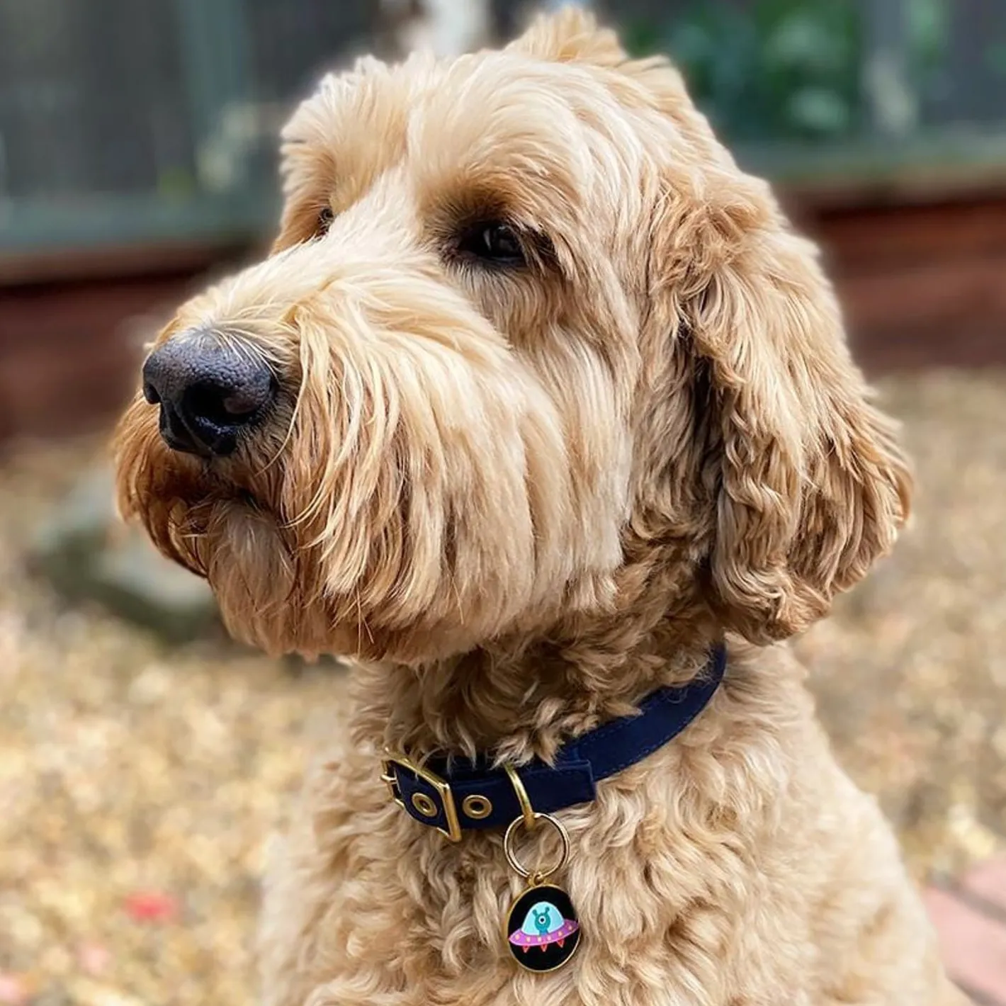 Erstwilder Close Encounter Enamel Pet Charm^ Enamel Key Rings