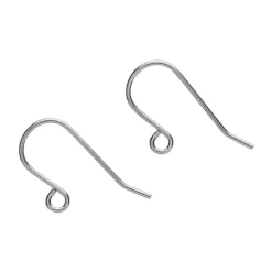 Erstwilder Earring Hooks (Steel) - 1 Pair^ Components
