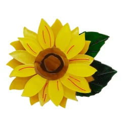 Erstwilder Follow The Sun Brooch^ Brooches