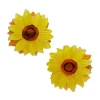 Erstwilder Follow The Sun Hair Clips Set - 2 Piece^ Hair Clips & Claws