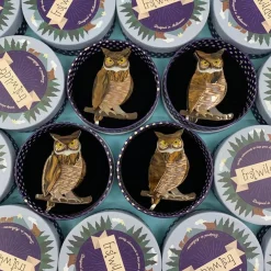 Erstwilder Gillian The Giving Owl Brooch^ Brooches
