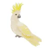 Erstwilder Hello Cocky Brooch^ Brooches