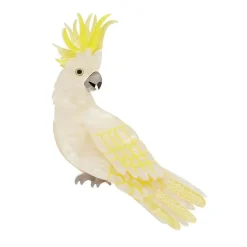 Erstwilder Hello Cocky Brooch^ Brooches