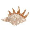 Erstwilder Mobile Home Shell Brooch^ Brooches