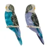 Erstwilder Pair O' Keets Brooch Set^ Brooches
