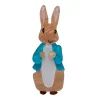 Erstwilder Peter Rabbit Brooch^ Brooches