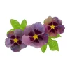 Erstwilder Purple Prose Brooch^ Brooches