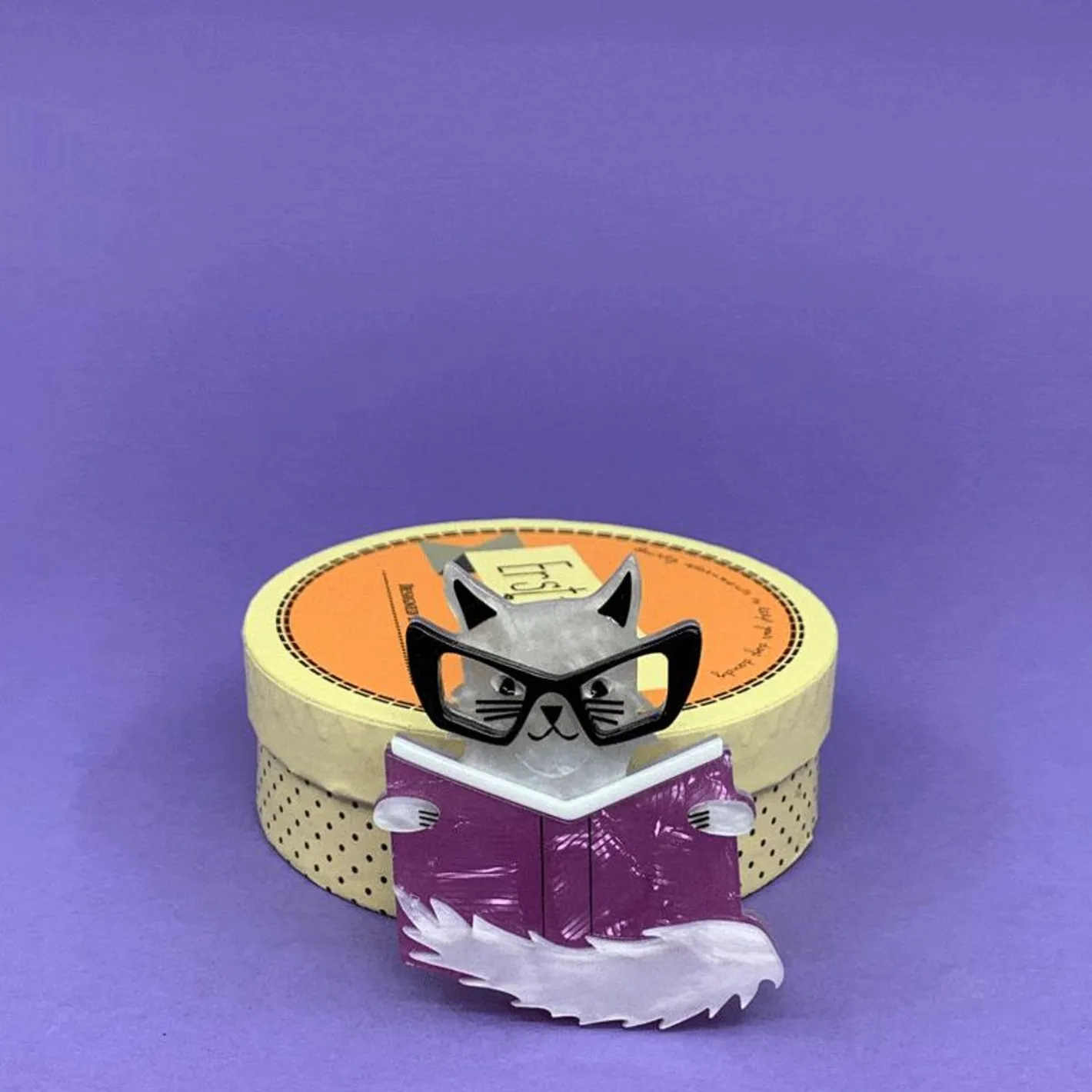 Erstwilder Puss In Books Brooch^ Brooches