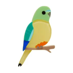 Erstwilder Radiant Rambler Parrot Brooch^ Brooches