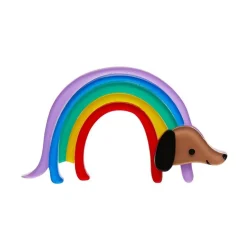 Erstwilder Rainbow Ruff Brooch^ Brooches