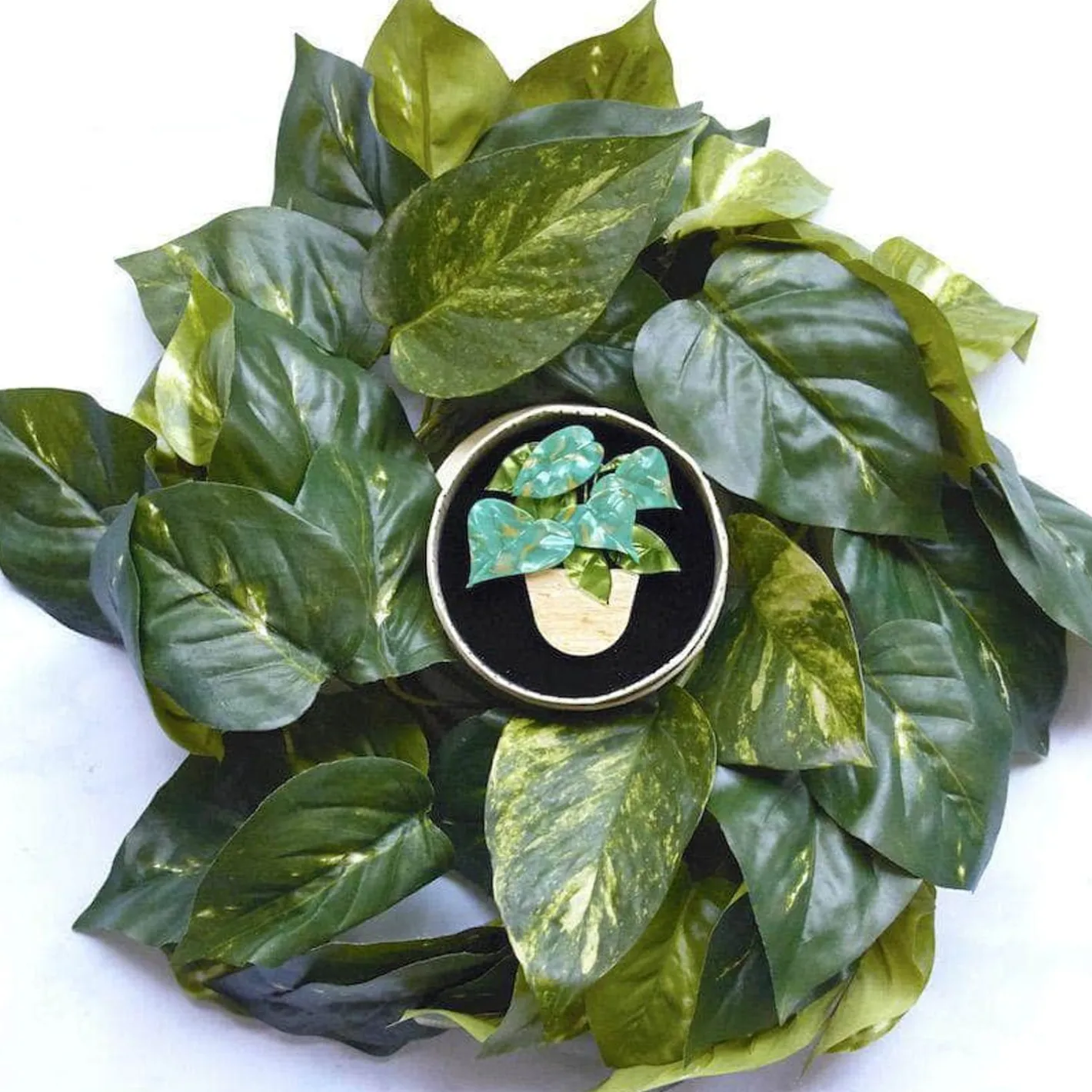 Erstwilder Show Me The Money Plant Brooch^ Brooches