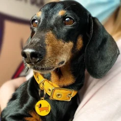 Erstwilder Spiffy The Sausage Dog Enamel Pet Charm^ Enamel Key Rings