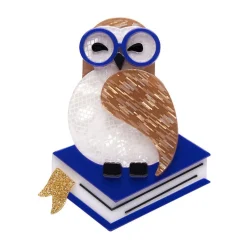 Erstwilder Studious Snow Owl Brooch^ Brooches