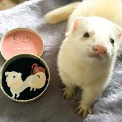 Erstwilder Sunny Smiles Ferret Brooch^ Brooches