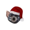Erstwilder Tassie Claus Brooch^ Brooches