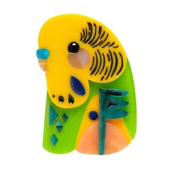 Erstwilder The Beautiful Budgerigar^ Brooches
