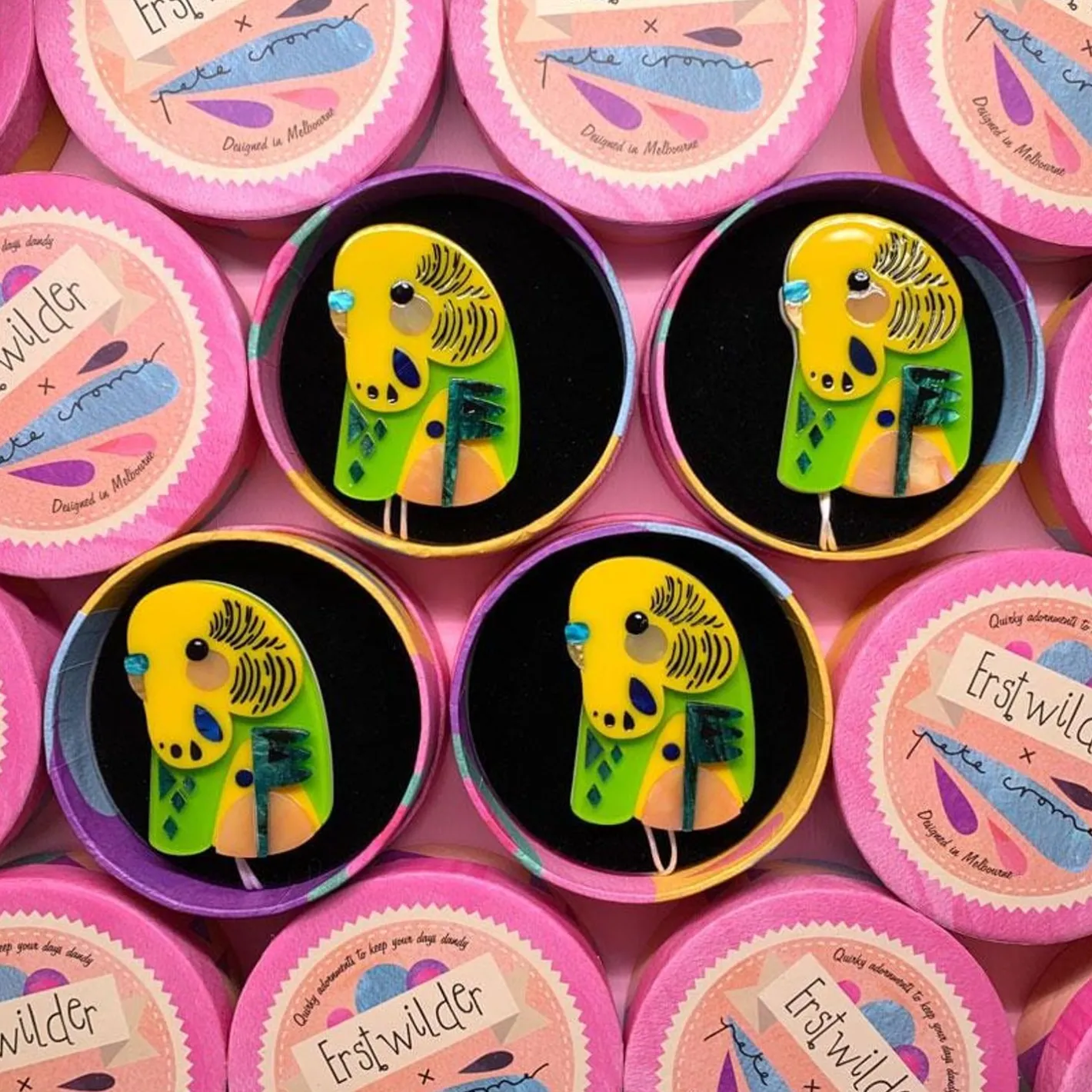 Erstwilder The Beautiful Budgerigar^ Brooches