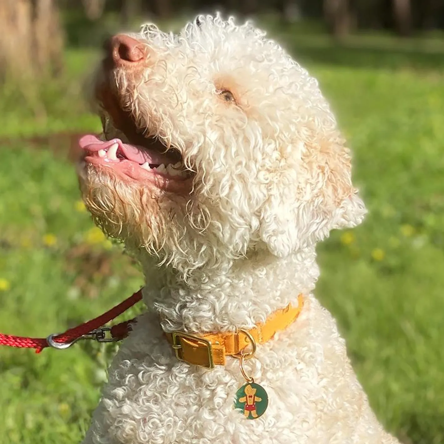 Erstwilder The Bite Before Christmas Enamel Pet Charm^ Enamel Key Rings