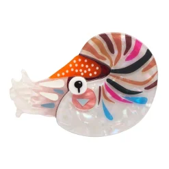Erstwilder The Cryptic Chambered Nautilus Brooch^ Brooches