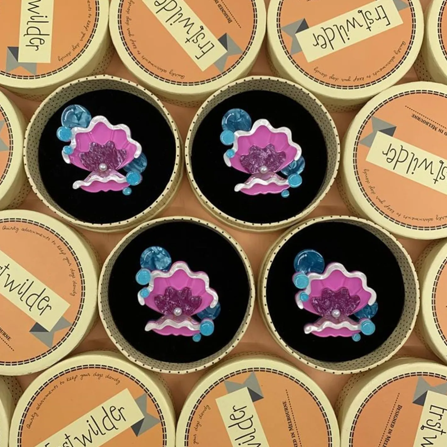 Erstwilder Treasure Within Brooch^ Brooches