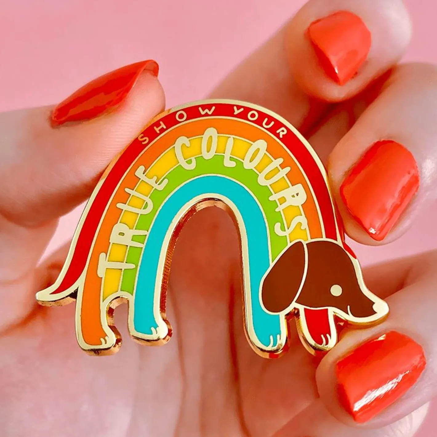 Erstwilder True Colours Enamel Pin^ Enamel Pins