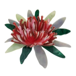 Erstwilder Waratah Warmth Brooch^ Brooches